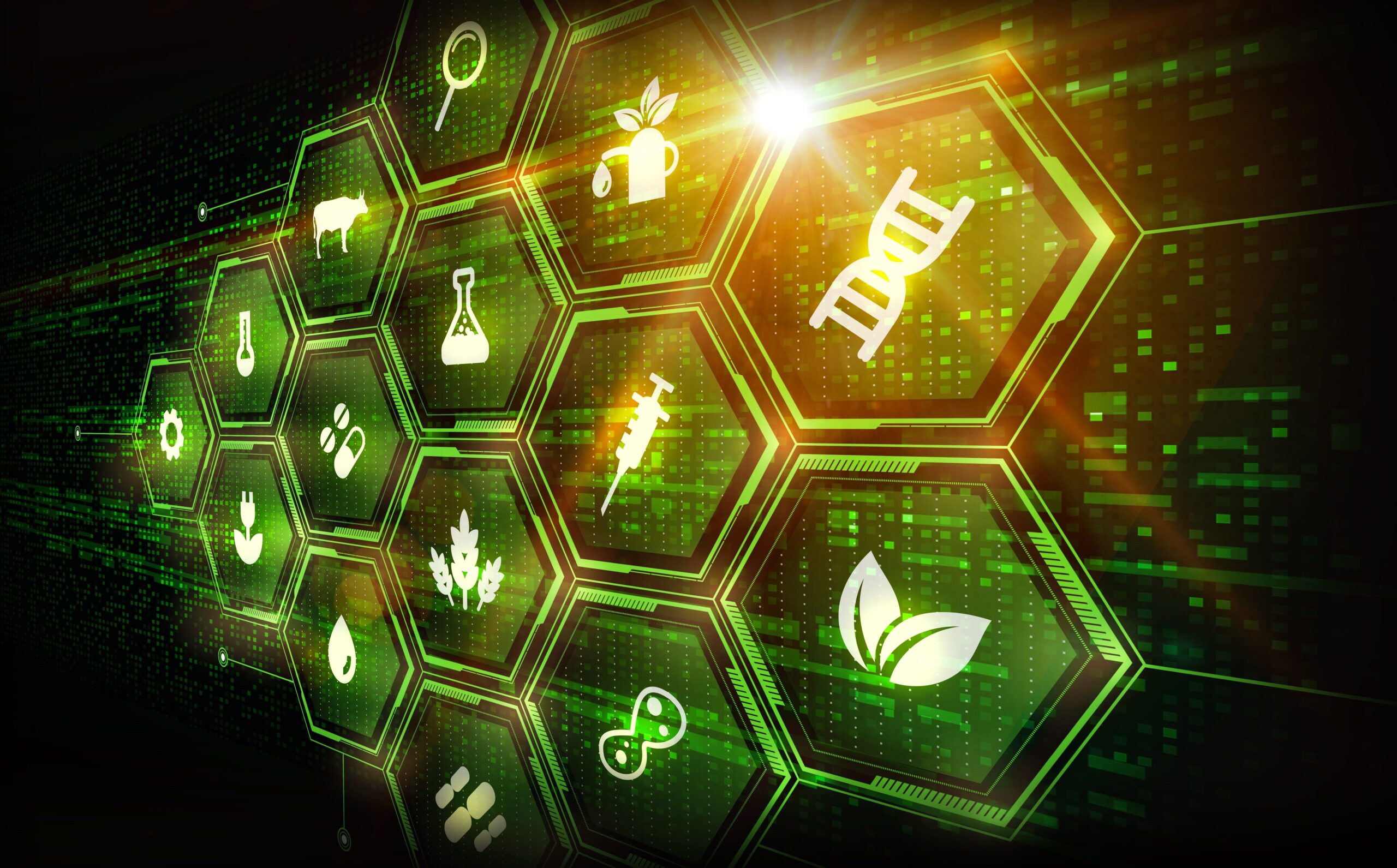 Epigenetics explains how lifestyle affects your genes