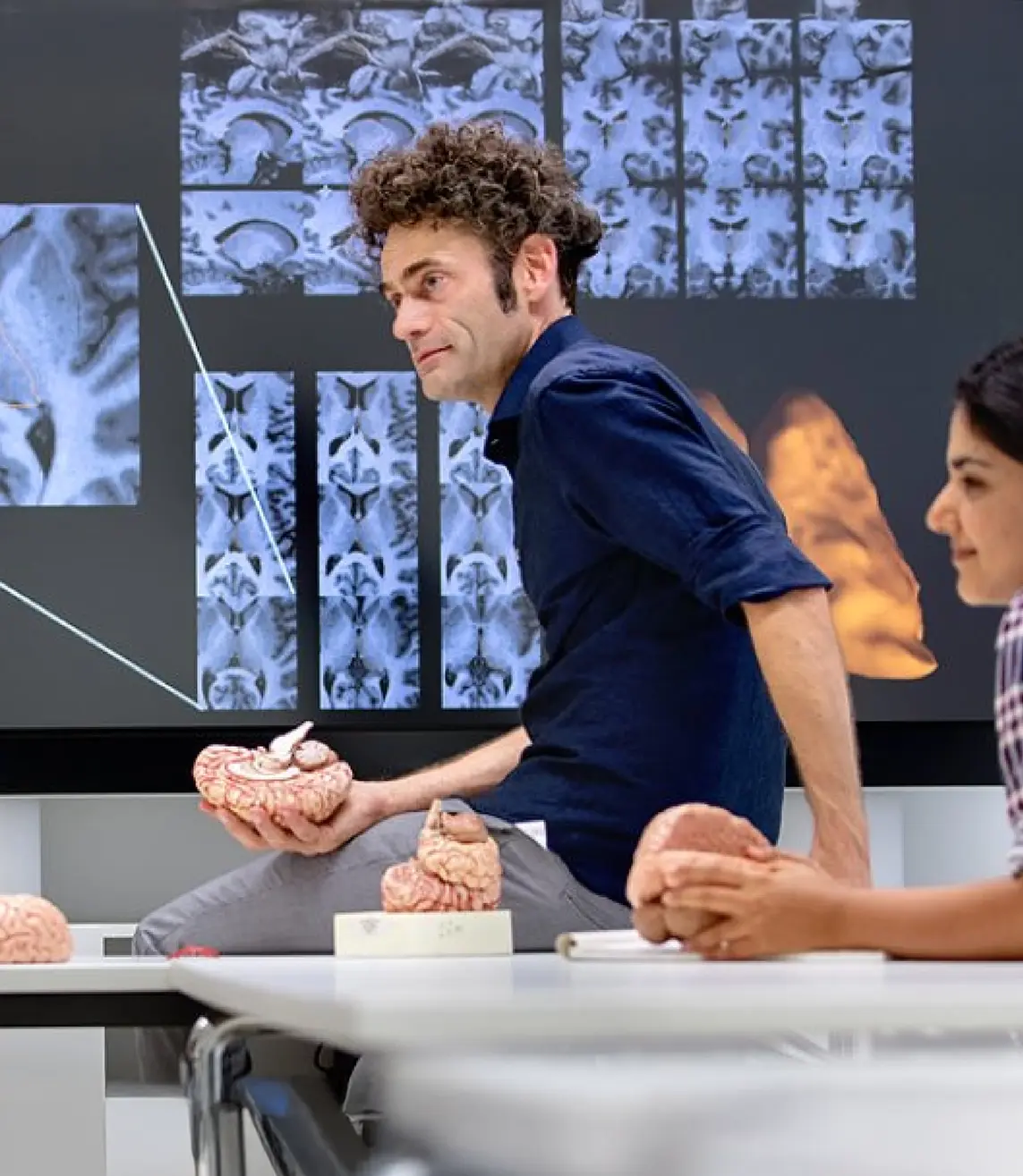 Onderzoek toont verband tussen darmflora en depressie